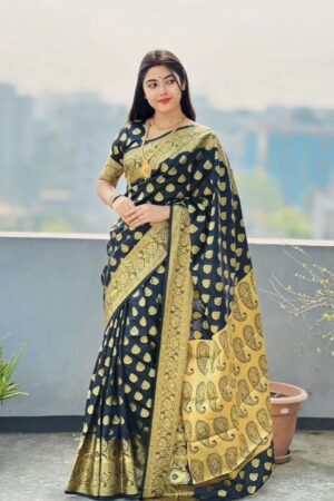 কাঞ্চিভরম রূপকথা শাড়ি